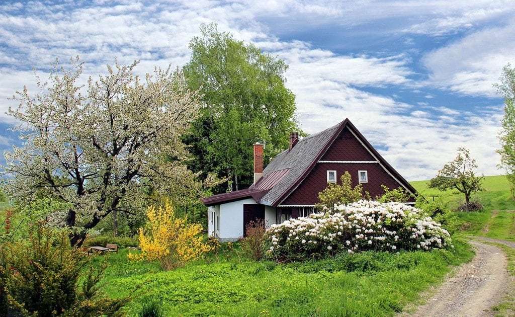 Embellir son jardin avec des éléments déco naturels